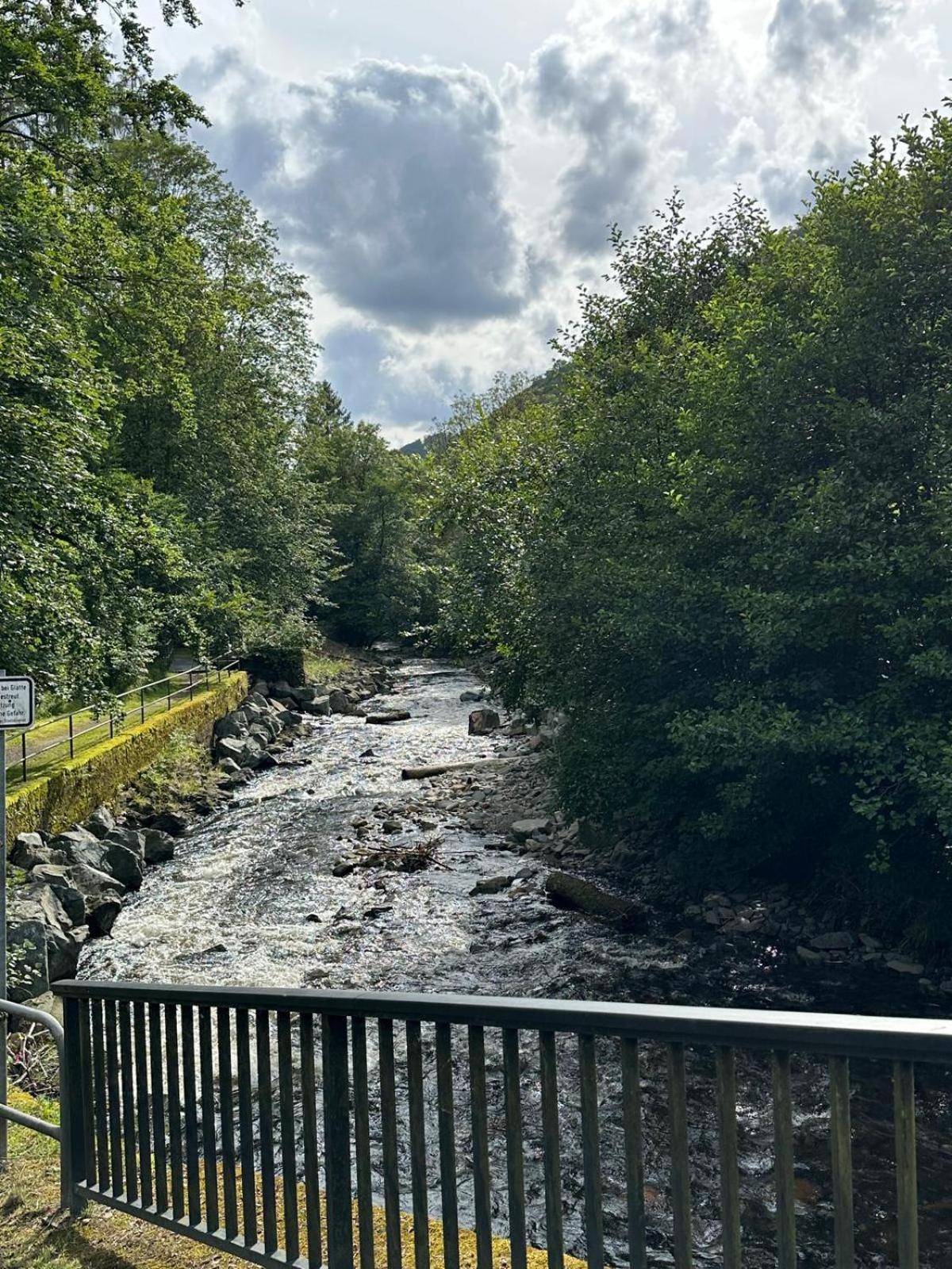 Ferienbutzen Harz Heikenberg, Bad Lauterberg Mit Schwimmbad Und Sauna Exterior foto